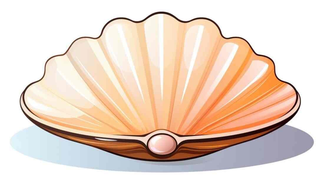 clipart:yrglcxbbwry= clam